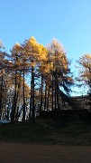 04 GIORNATA SPLENDIDA